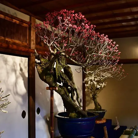 Cozy House 6, Free Wifi A Rented Electric Bicycle Apartment Kyoto Exterior photo