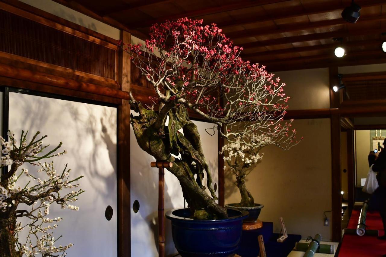 Cozy House 6, Free Wifi A Rented Electric Bicycle アパート